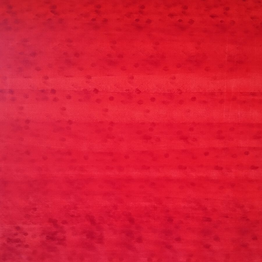 Miro Zahra, o.T., 2025, Öl auf Leinwand, 100x80 cm